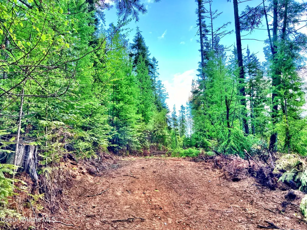Nna White Mountain Road Sandpoint ID 83864