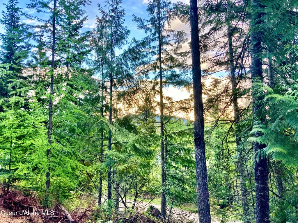 Nna White Mountain Road Sandpoint ID 83864
