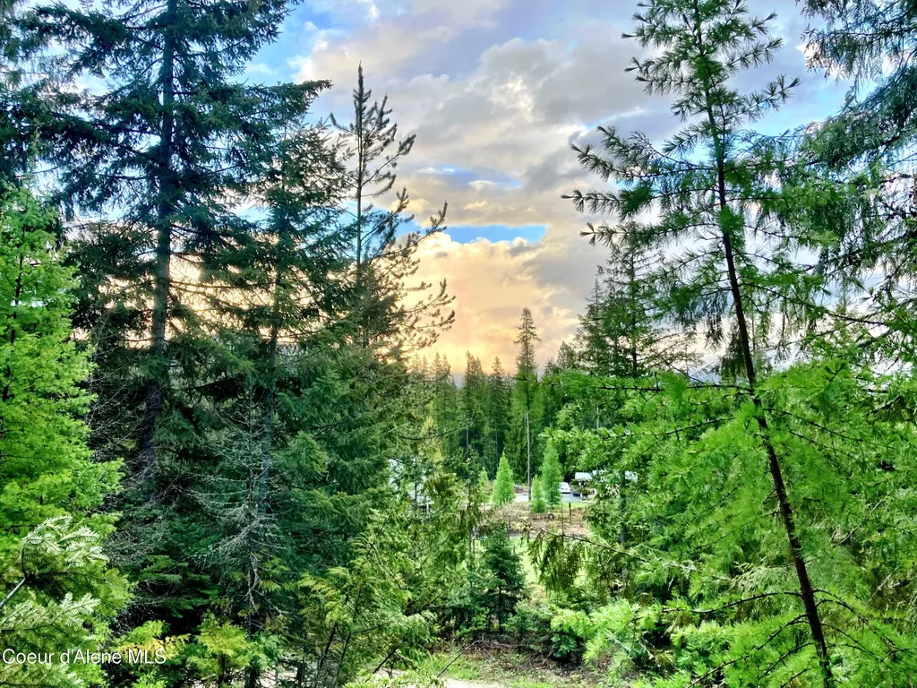 Nna White Mountain Road Sandpoint ID 83864