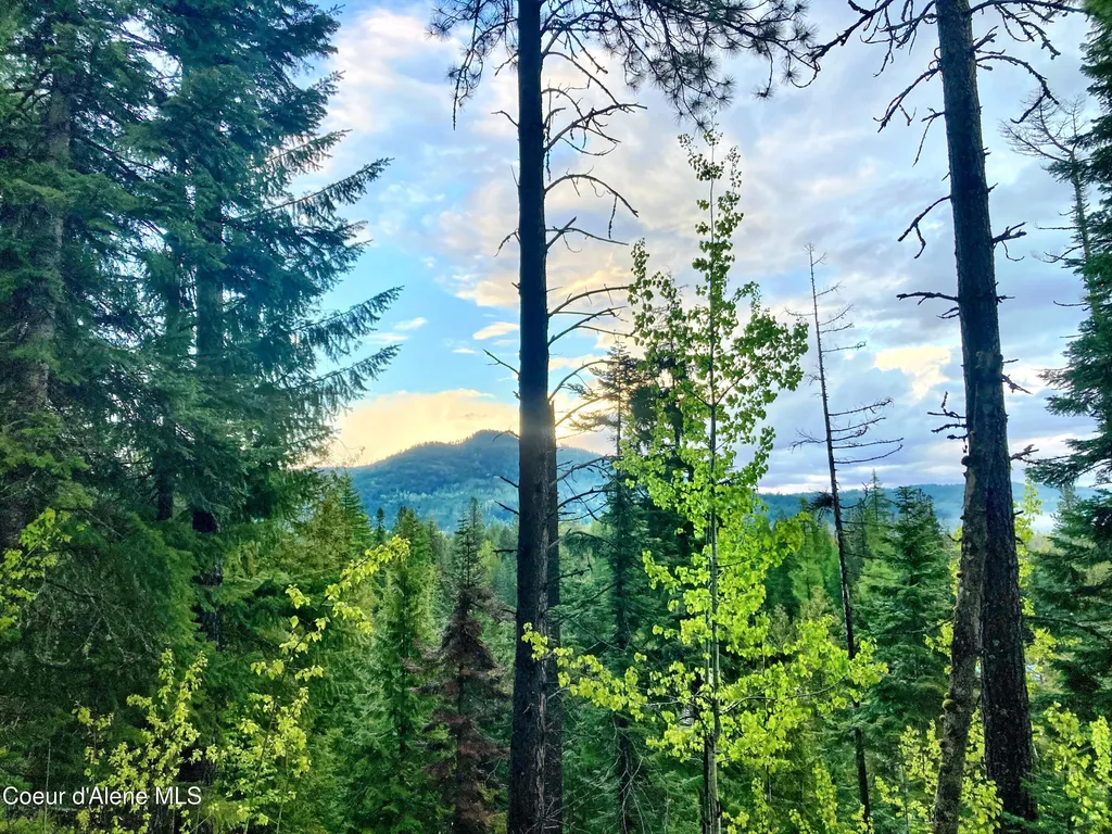 Nna White Mountain Road Sandpoint ID 83864
