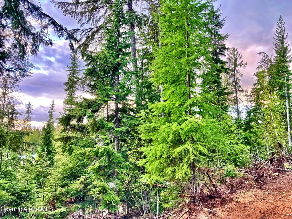 Nna White Mountain Road Sandpoint ID 83864