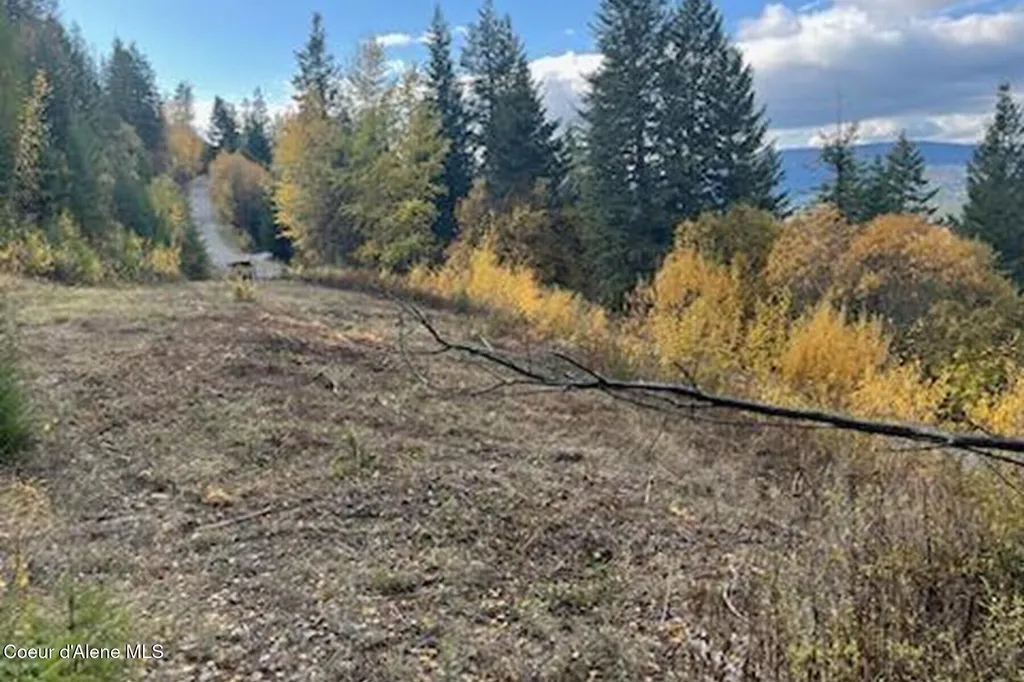 Lot 2 Forever View Sagle ID 83860