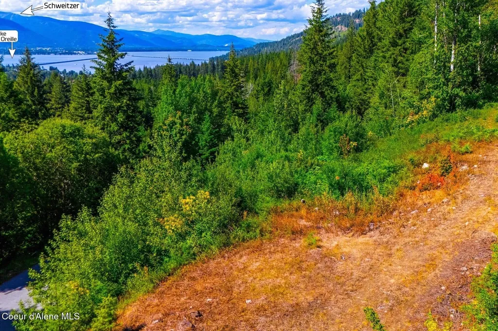 Lot 2 Forever View Sagle ID 83860