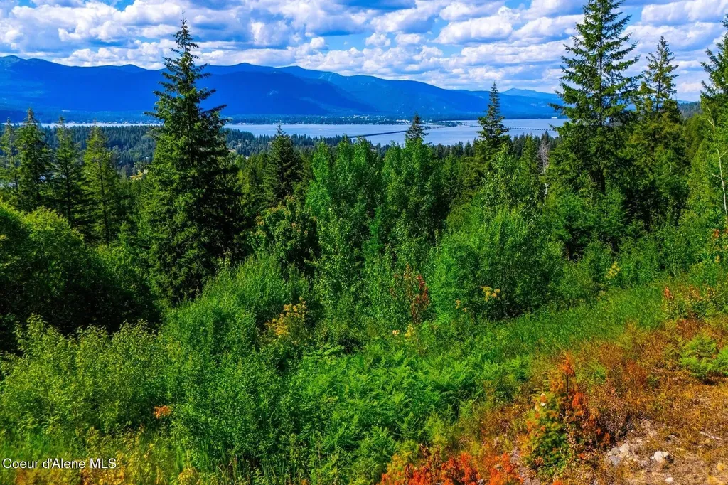 Lot 2 Forever View Sagle ID 83860