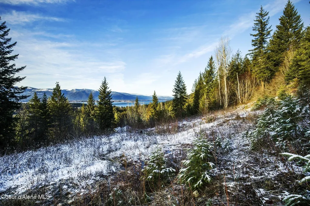 Lot 2 Forever View Sagle ID 83860