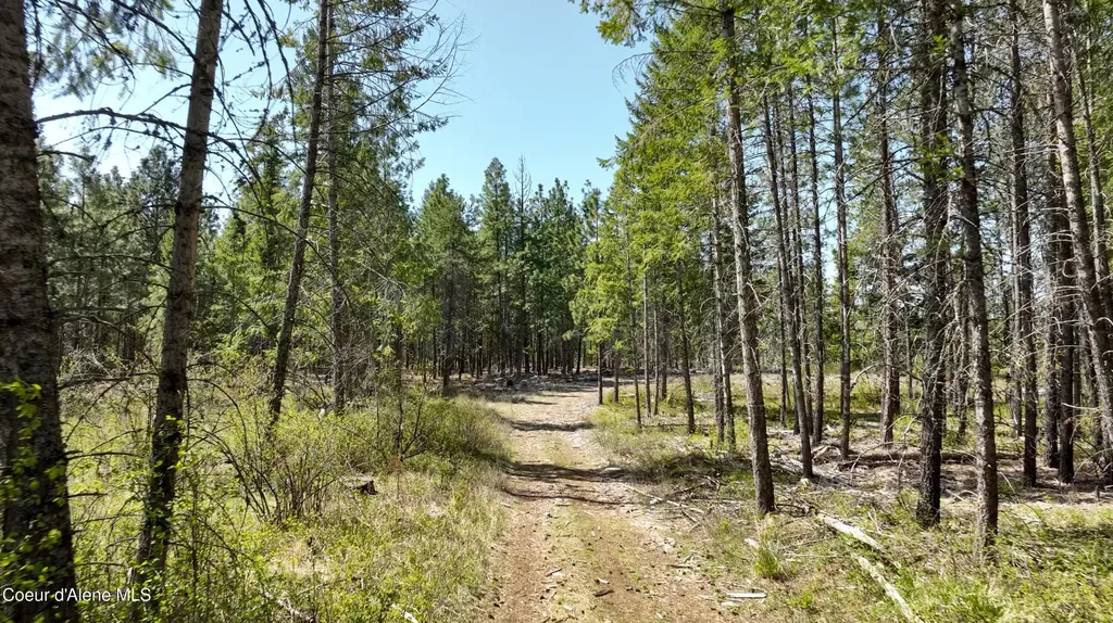 Nka E Rookery Road Hayden ID 83835