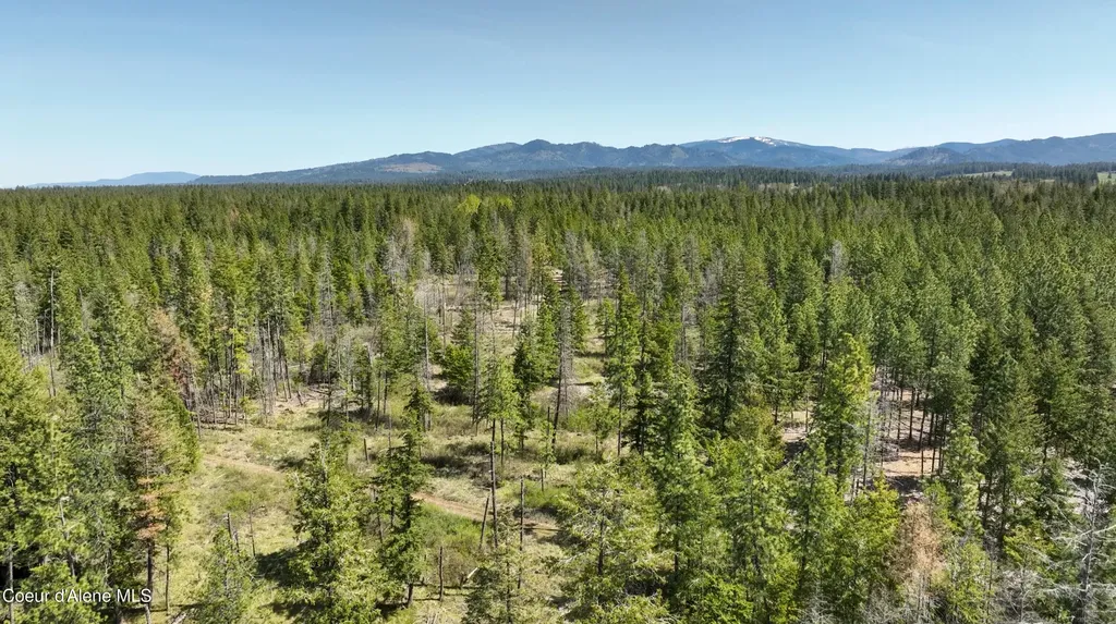 Nka E Rookery Road Hayden ID 83835