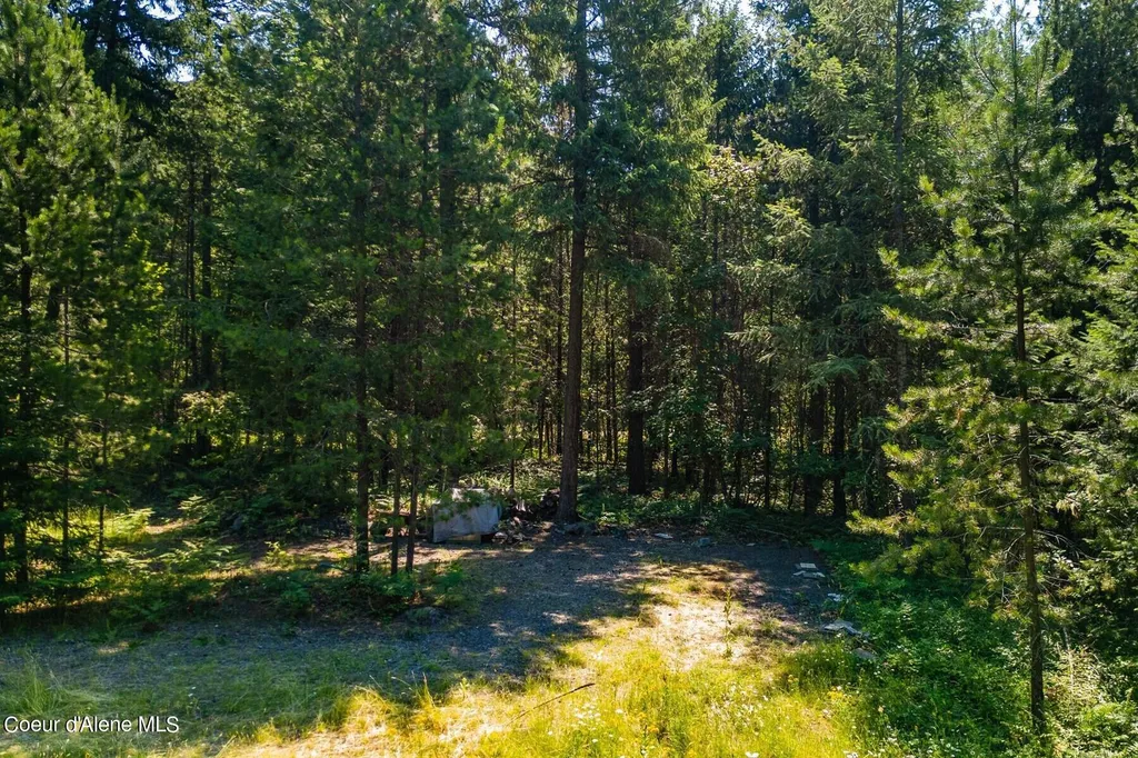 Nna Cheyenne Drive Sagle ID 83860