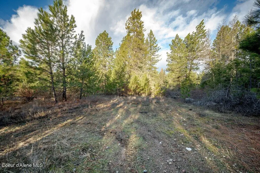 Nka N 11th Avenue Spirit Lake ID 83869