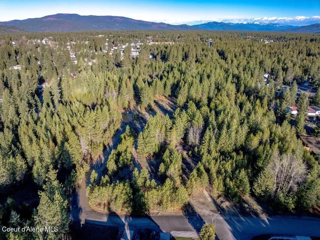 Nka N 11th Avenue Spirit Lake ID 83869