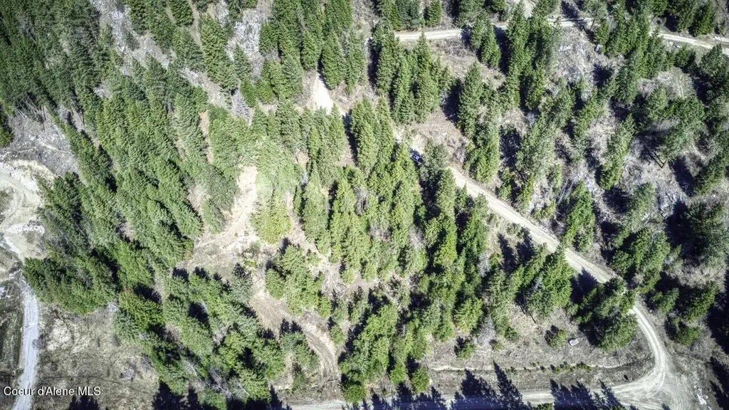 Nna Mays Road Sagle ID 83860