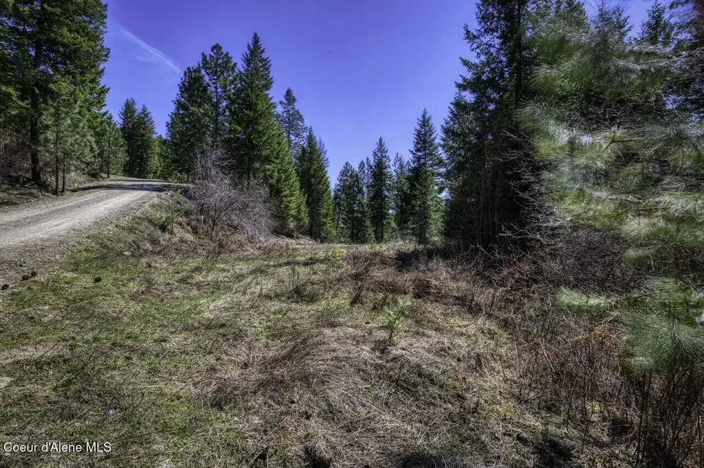 Nna Mays Road Sagle ID 83860
