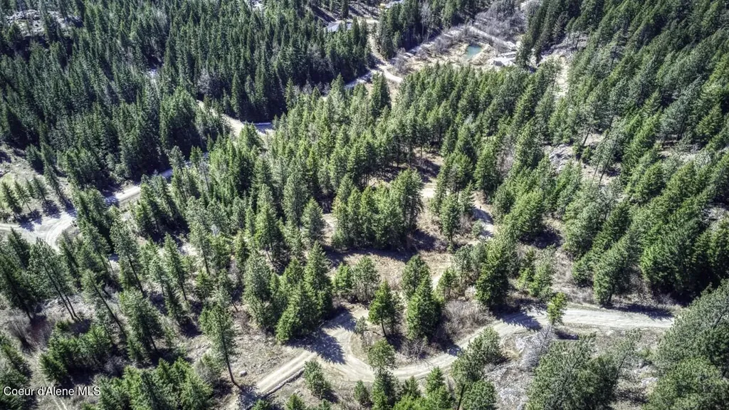 Nna Mays Road Sagle ID 83860