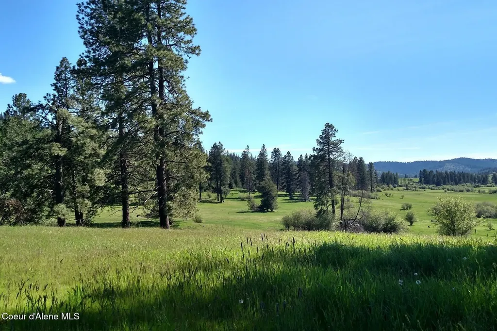 337 W Coon Creek Road Plummer ID 83851
