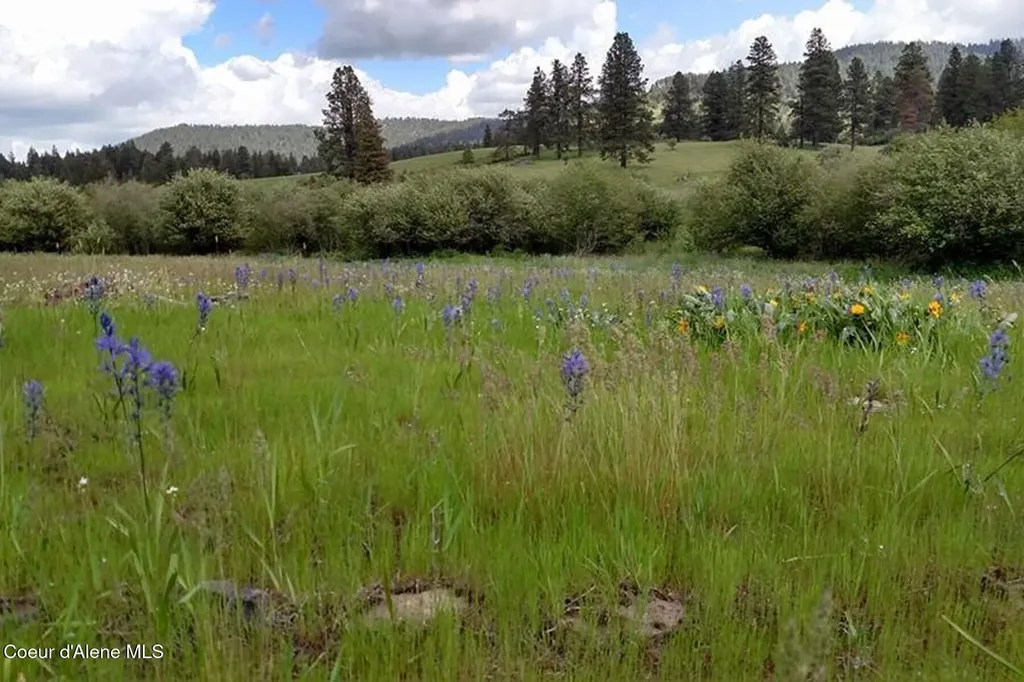 337 W Coon Creek Road Plummer ID 83851