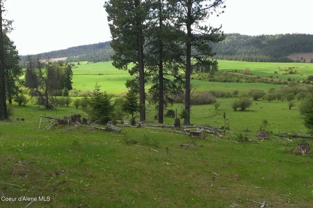 337 W Coon Creek Road Plummer ID 83851