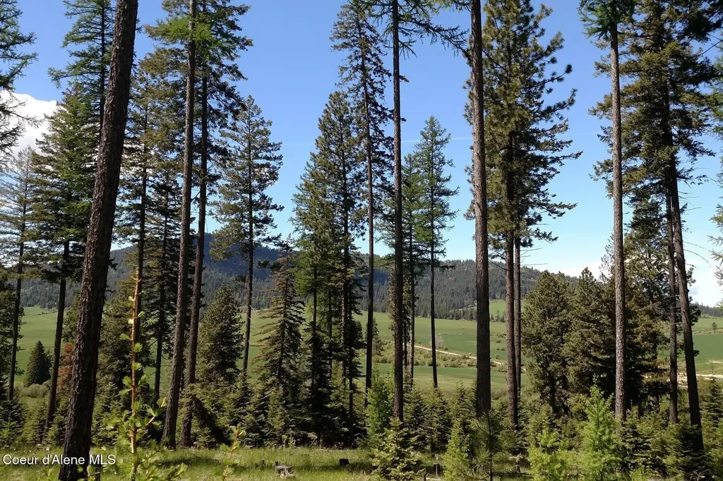 337 W Coon Creek Road Plummer ID 83851