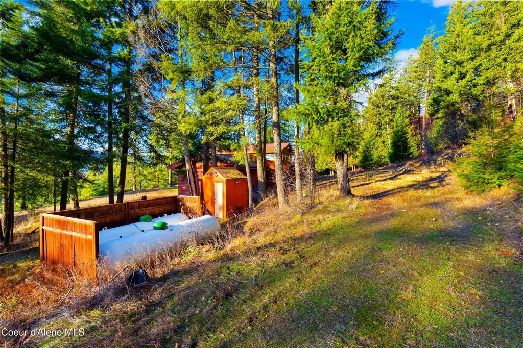 325 Wambli Wahohpi Careywood ID 83809