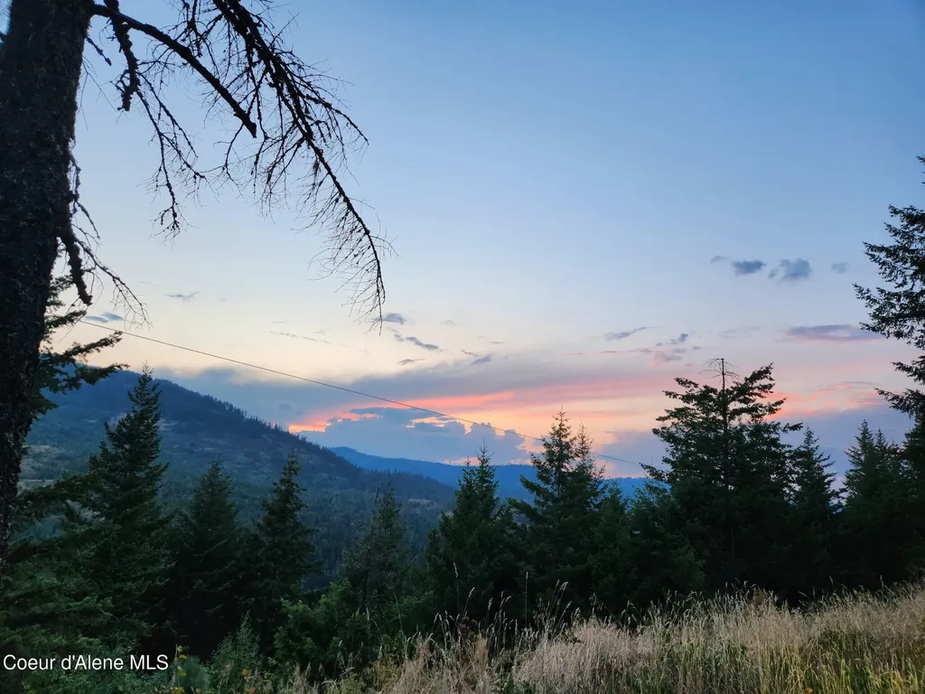 325 Wambli Wahohpi Careywood ID 83809