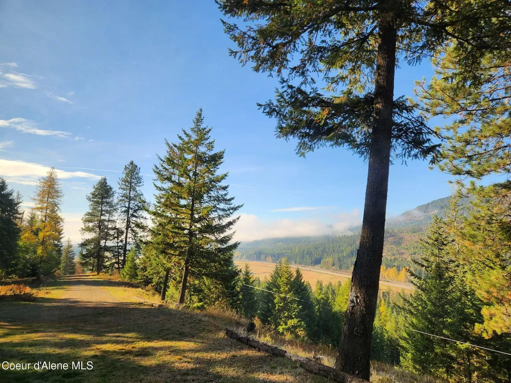 325 Wambli Wahohpi Careywood ID 83809