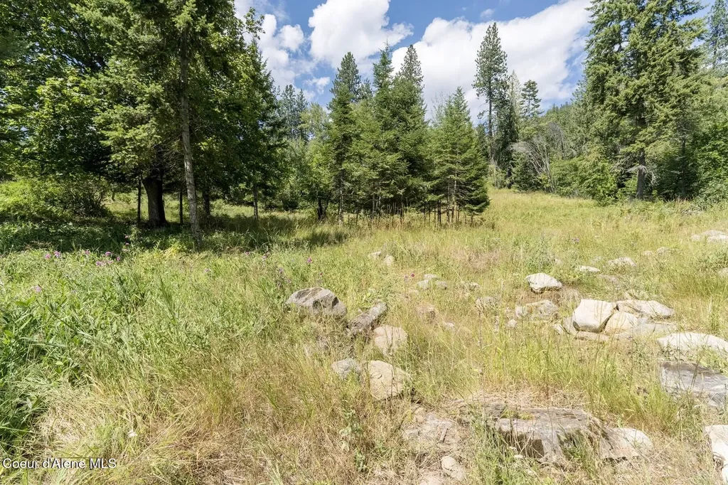 Nka Enchanted Forest (lot 3) Lane Hope ID 83836
