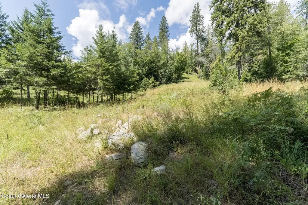 Nka Enchanted Forest (lot 3) Lane Hope ID 83836