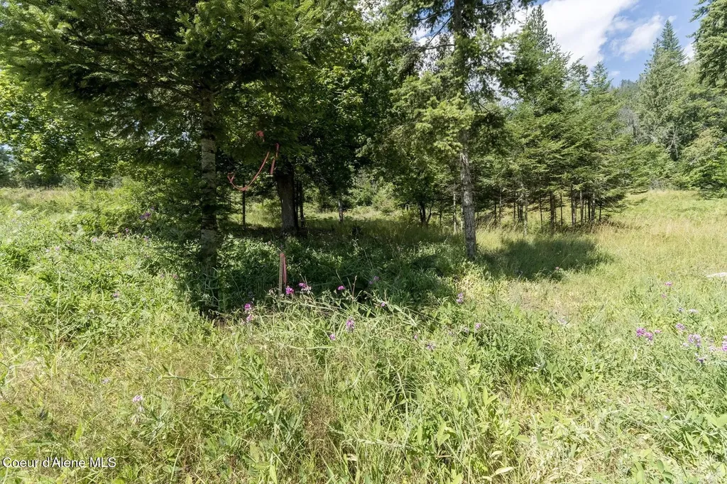 Nka Enchanted Forest (lot 3) Lane Hope ID 83836
