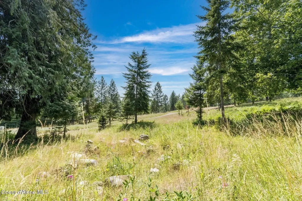 Nka Enchanted Forest (lot 3) Lane Hope ID 83836