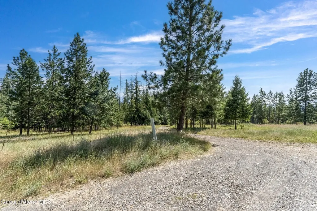 Nka Enchanted Forest (lot 3) Lane Hope ID 83836