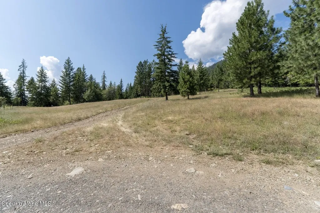 Nka Enchanted Forest (lot 3) Lane Hope ID 83836