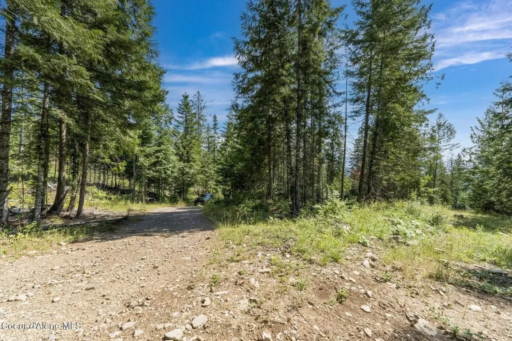 Nka Enchanted Forest (lot 3) Lane Hope ID 83836