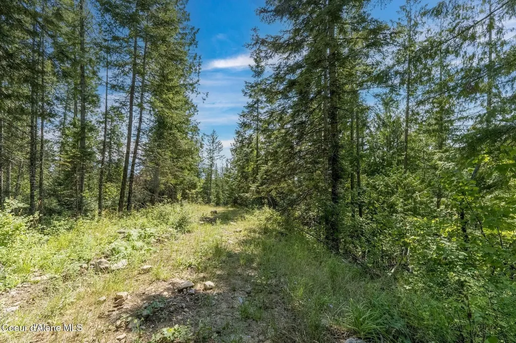 Nka Enchanted Forest (lot 3) Lane Hope ID 83836