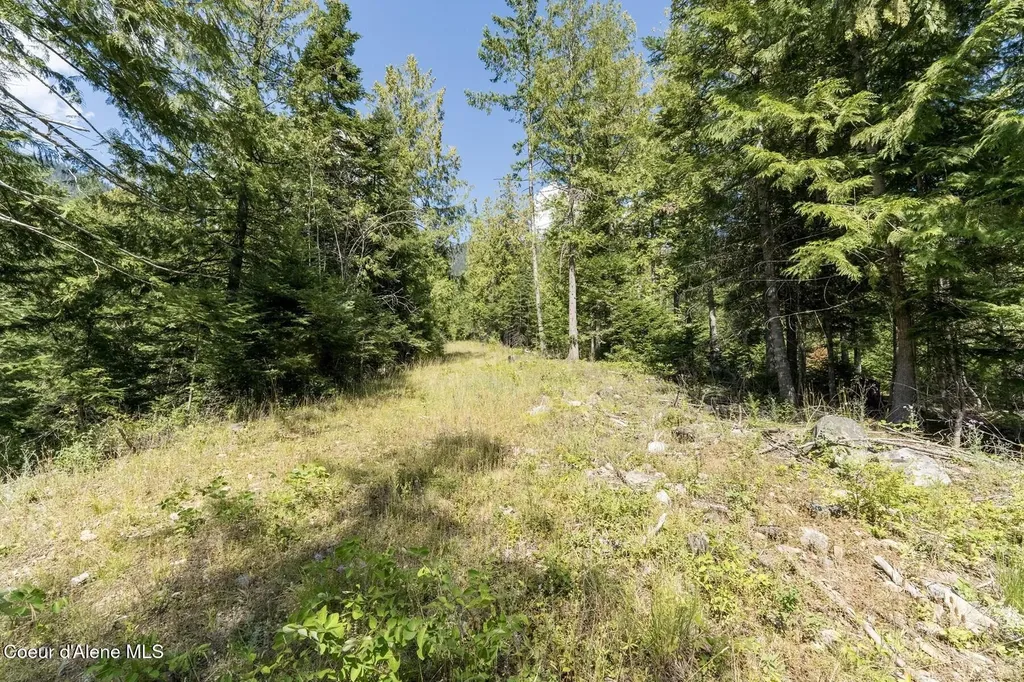 Nka Enchanted Forest (lot 3) Lane Hope ID 83836
