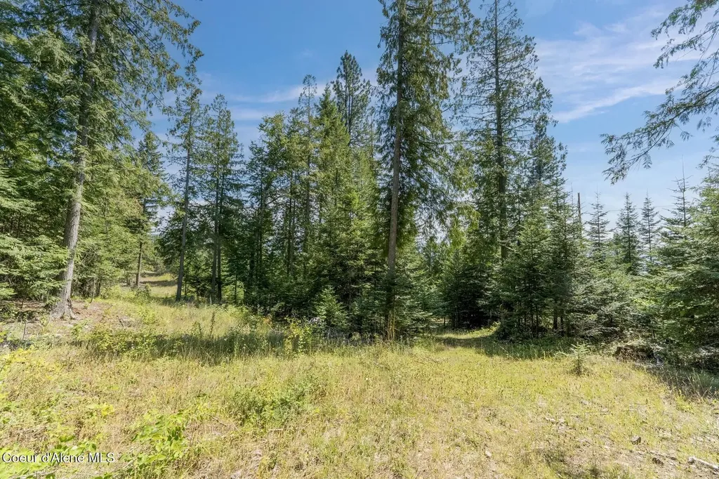 Nka Enchanted Forest (lot 3) Lane Hope ID 83836