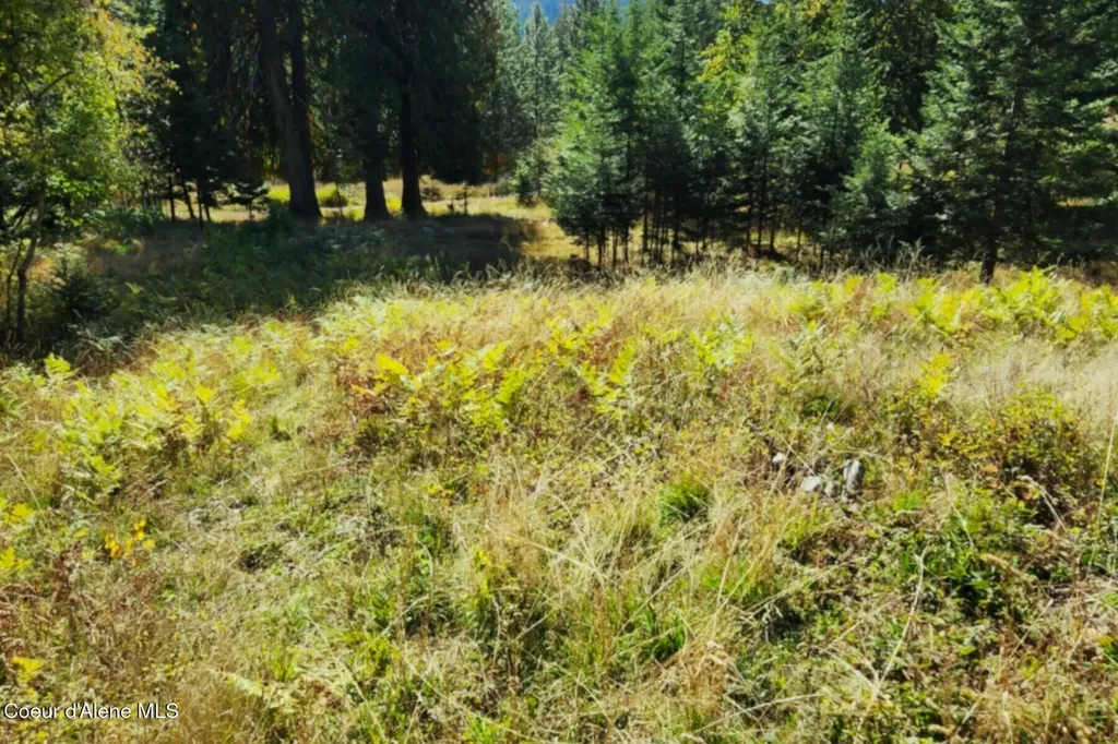 Nka Enchanted Forest (lot 3) Lane Hope ID 83836