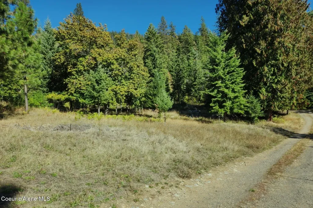 Nka Enchanted Forest (lot 3) Lane Hope ID 83836