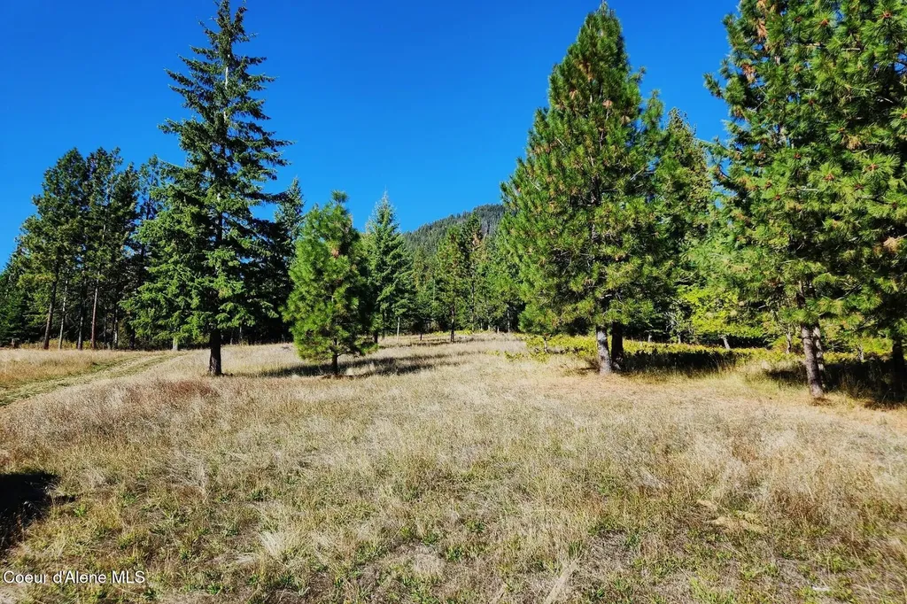 Nka Enchanted Forest (lot 3) Lane Hope ID 83836