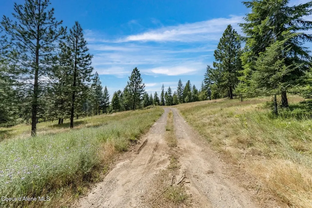 Nka Enchanted Forest (lot 3) Lane Hope ID 83836