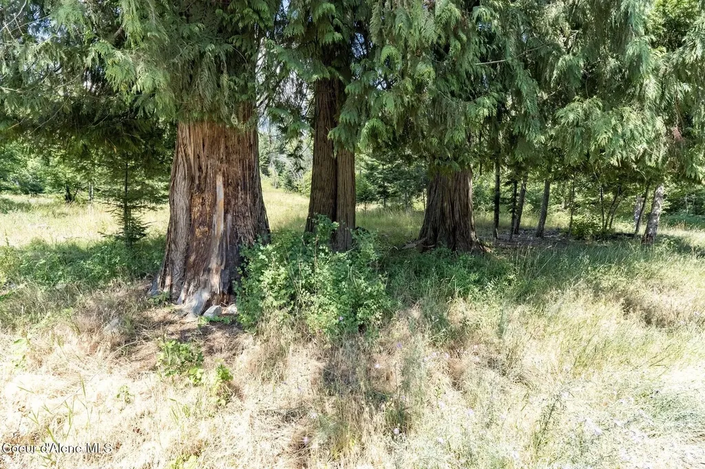 Nka Enchanted Forest (lot 3) Lane Hope ID 83836