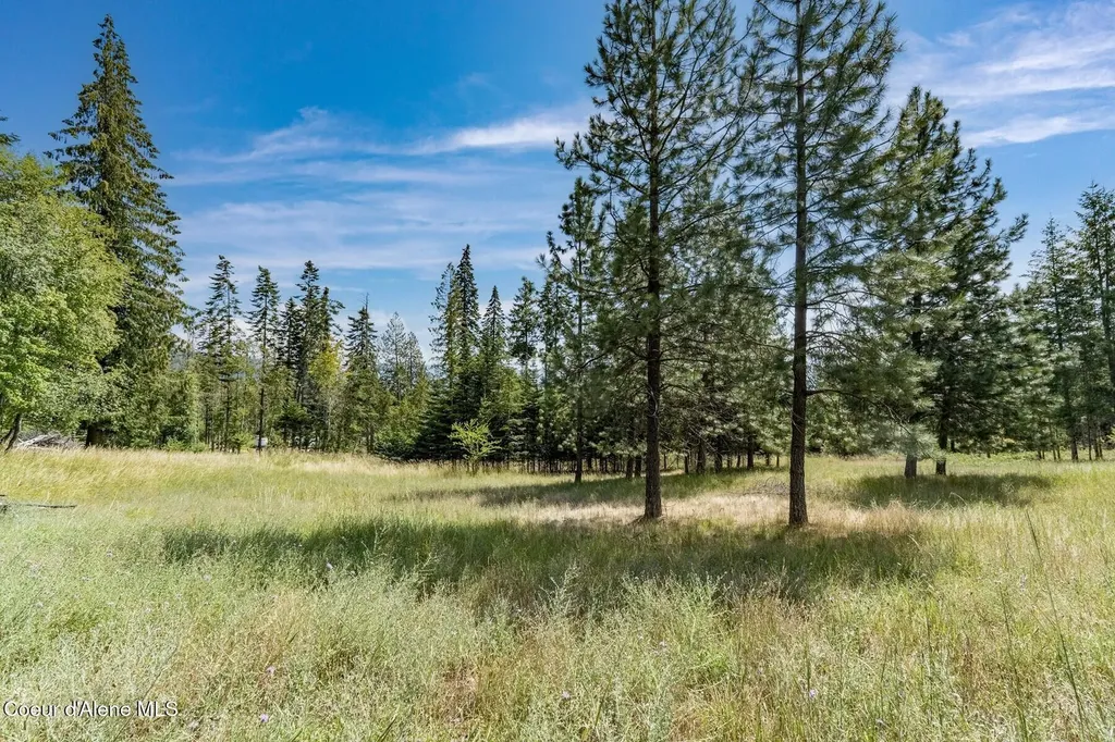 Nka Enchanted Forest (lot 3) Lane Hope ID 83836