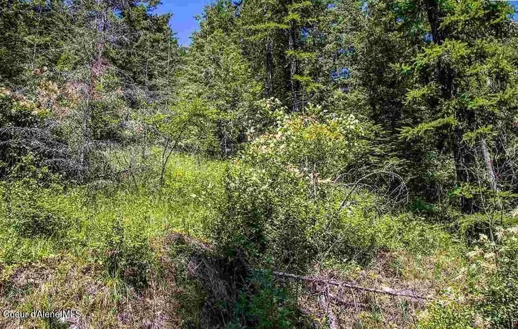 Nna N Quail Run Road Sandpoint ID 83864