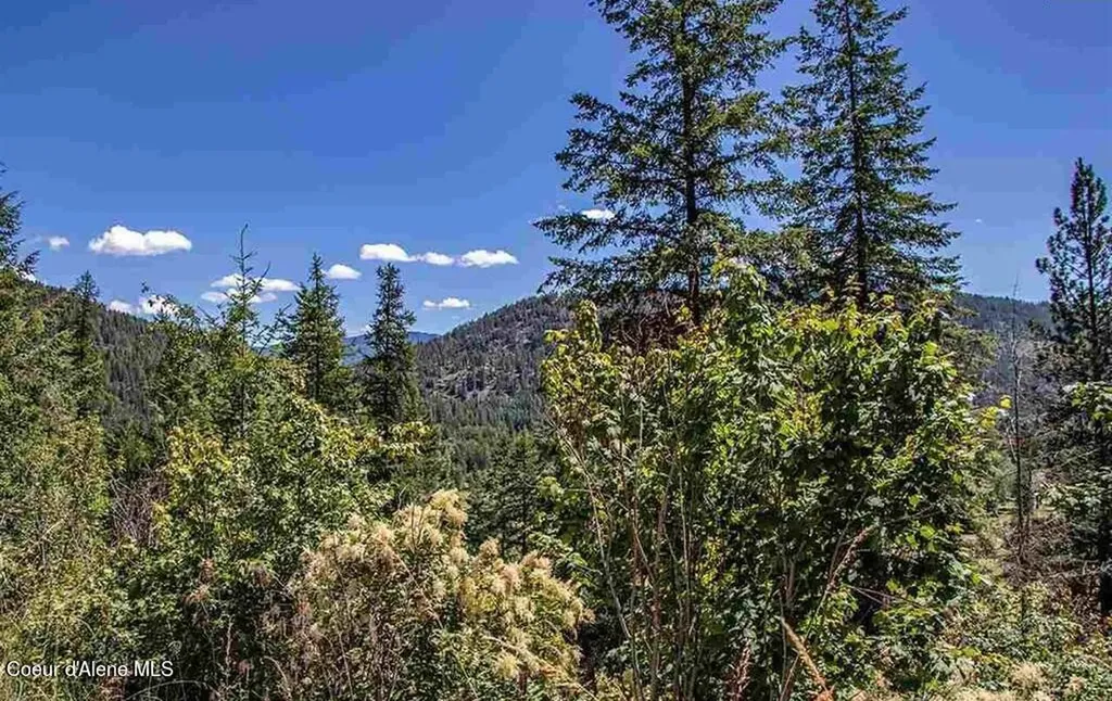 Nna N Quail Run Road Sandpoint ID 83864