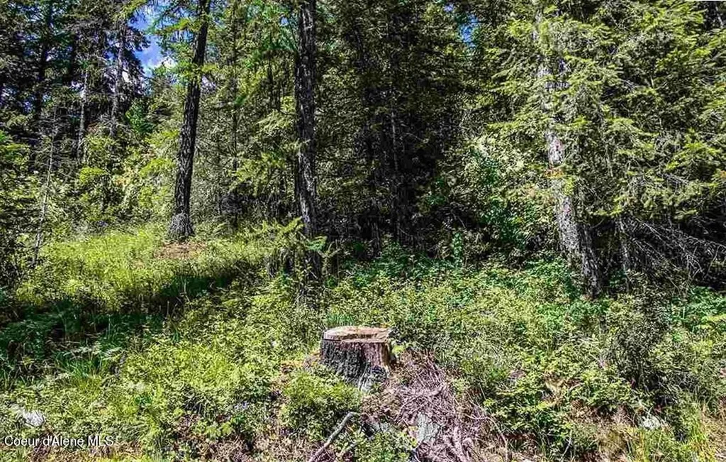 Nna N Quail Run Road Sandpoint ID 83864