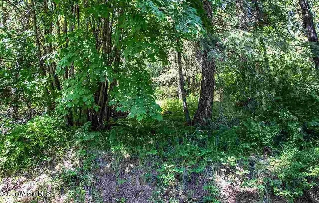 Nna N Quail Run Road Sandpoint ID 83864