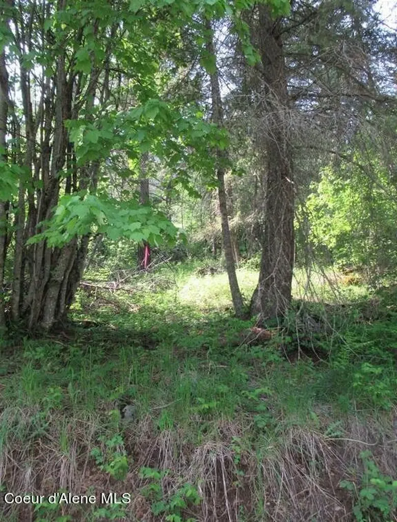 Nna N Quail Run Road Sandpoint ID 83864