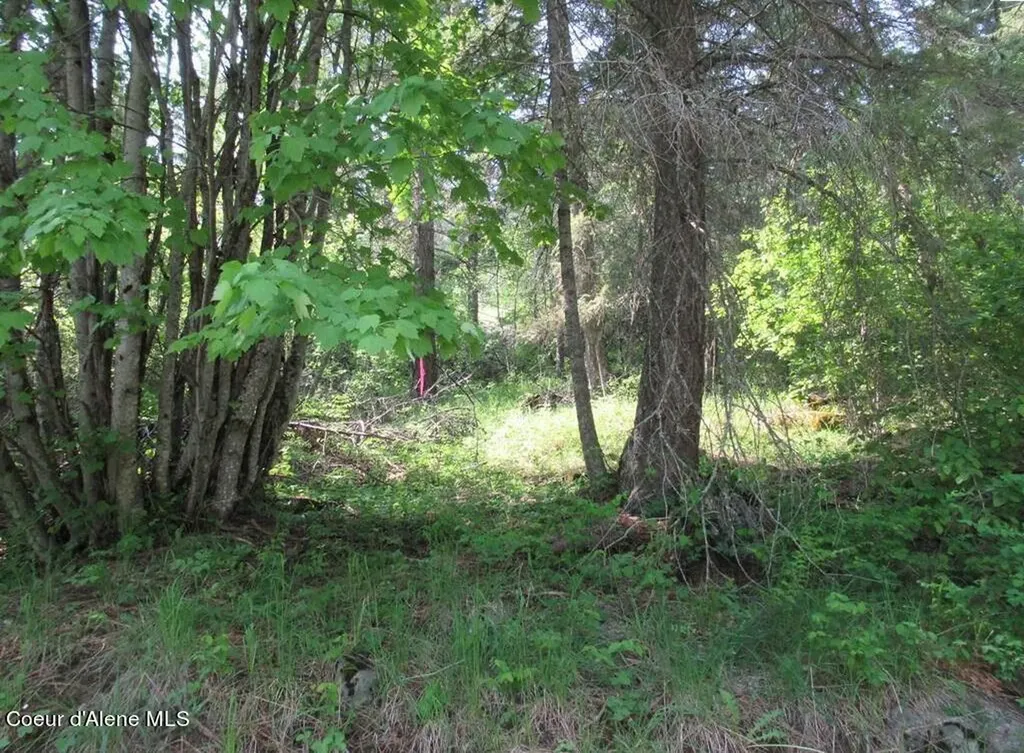 Nna N Quail Run Road Sandpoint ID 83864