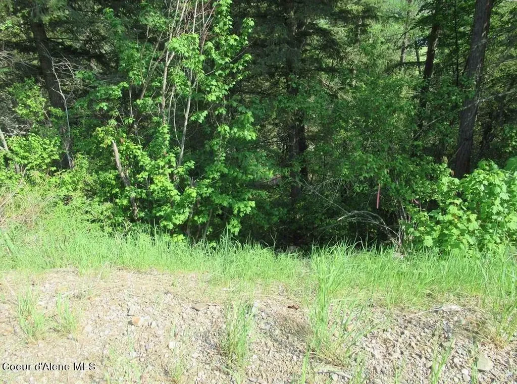 Nna N Quail Run Road Sandpoint ID 83864