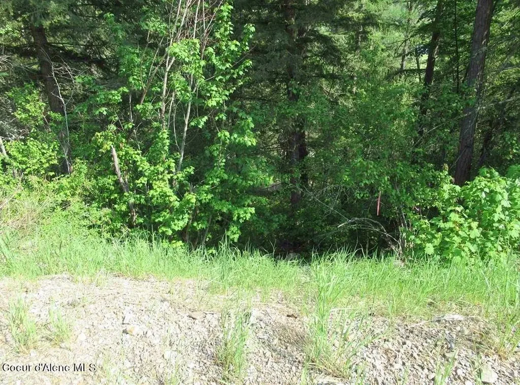 Nna N Quail Run Road Sandpoint ID 83864