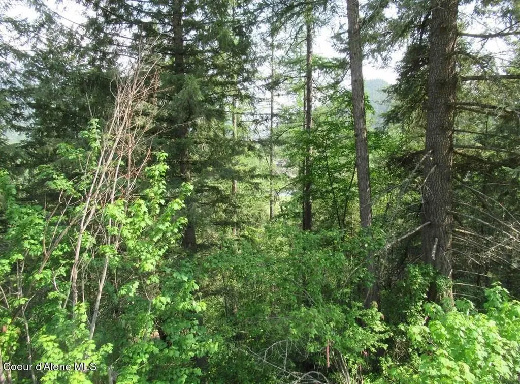 Nna N Quail Run Road Sandpoint ID 83864