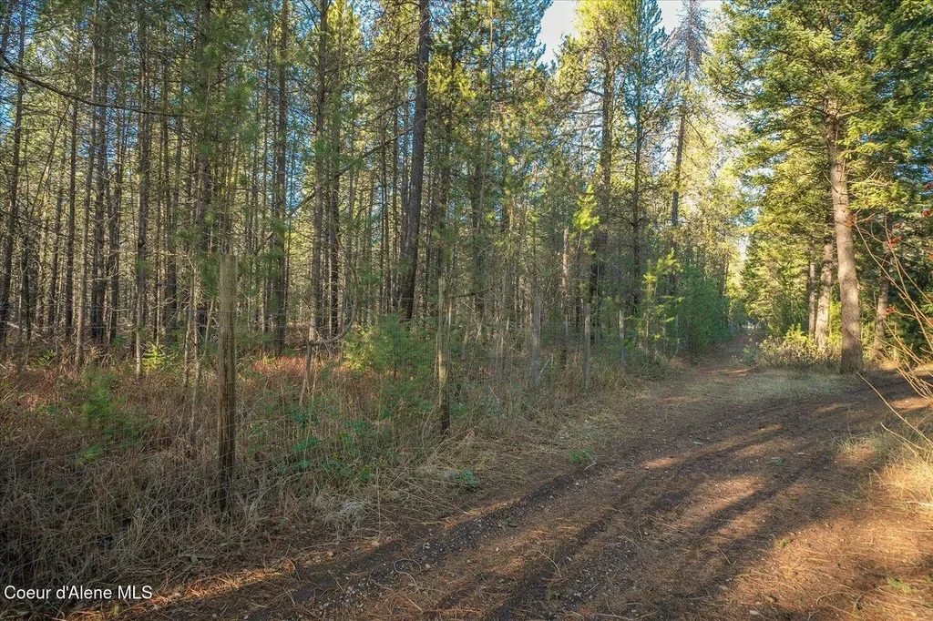 4529 E Diagonal Road Rathdrum ID 83858